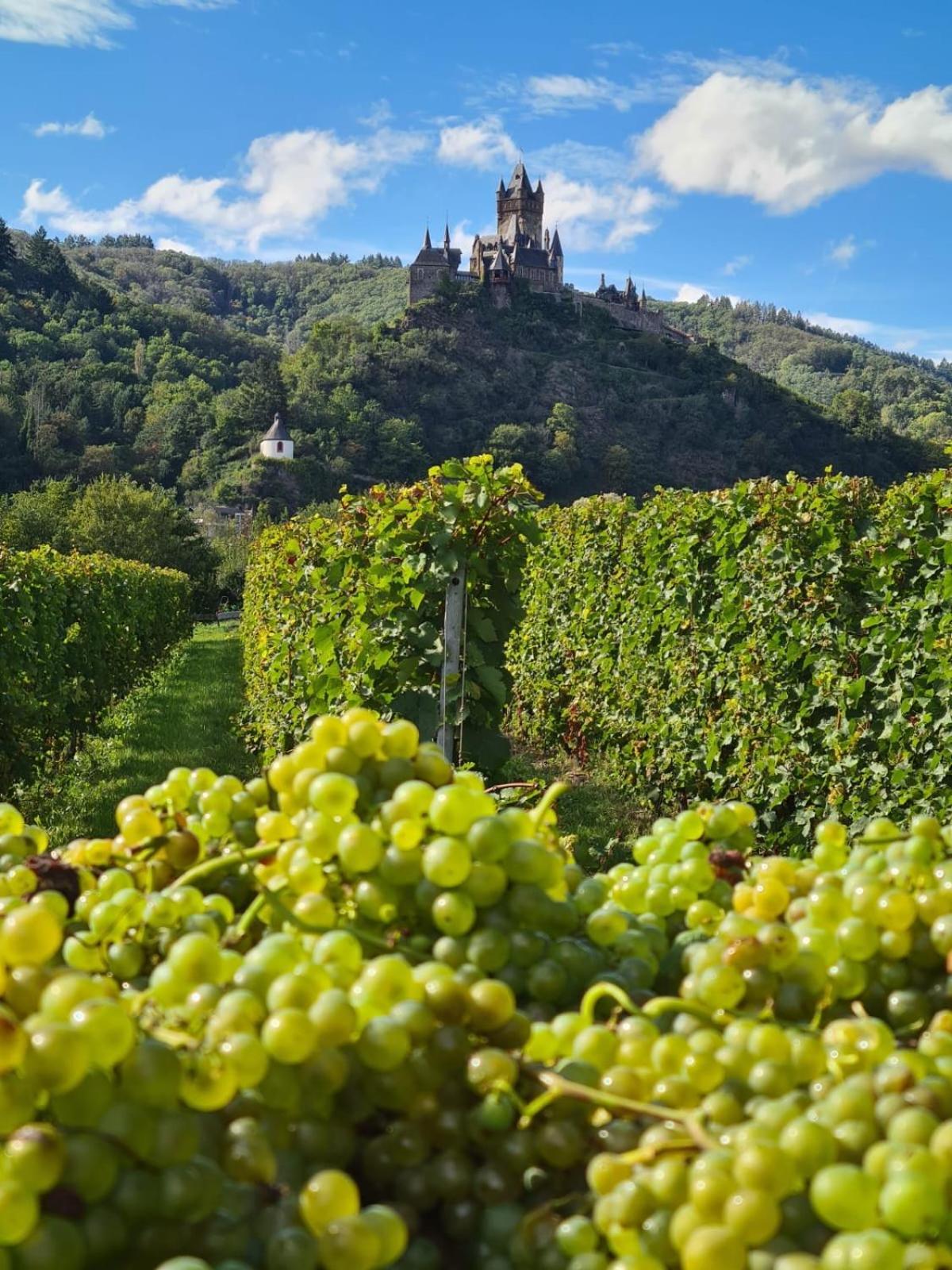 Weingut Gaestehaus Bach Кохем Экстерьер фото